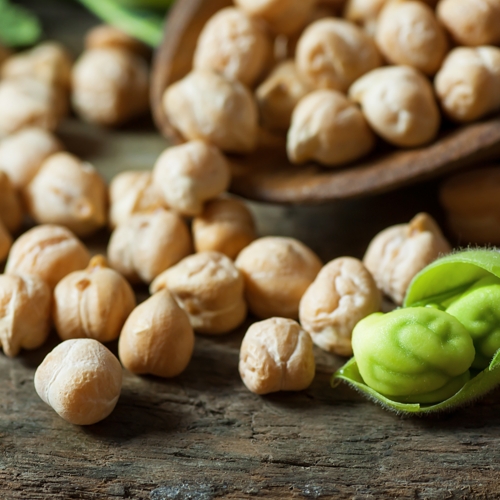 plant-based proteins chickpea